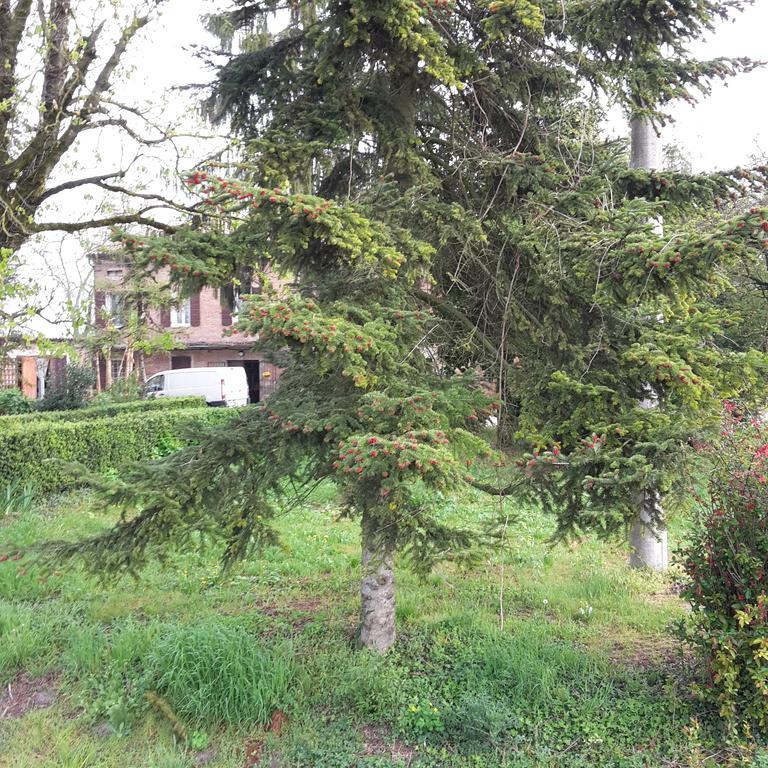 Dosso Al Porto Bauernhof Rolo